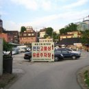 조선의반점