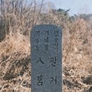 팔거산성 Daum카페