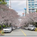 삼익실내골프연습장 이미지