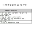 신풍타이어 이미지