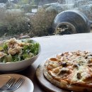 한스바움 이미지