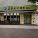 산들동물병원 네이버블로그