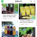돌배식당