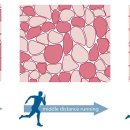 트레이닝론 이미지