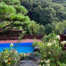 엔젤 식물원 이미지