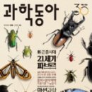 동아TECH