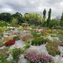 강동숲유치원 이미지