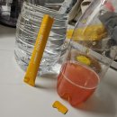 (주)바이오로제트 이미지