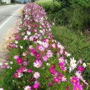 도깨비정원 이미지