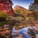 (주)해남땅끝리조트 이미지