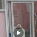 메리그루밍 이미지