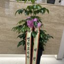 엠원코리아 이미지