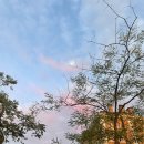 [영국워홀 Day163~168] 핸드폰 소매치기 당한 썰 / 아이폰14 구매 / 런던워홀일상