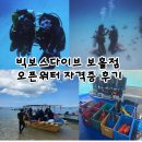 빅보스 | 보홀 스쿠버다이빙 자격증 빅보스다이브 다이빙샵 오픈워터 후기