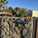 수수미미 이미지