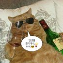 은성농장 | [전이사🧑‍🦳] 🍎예산사과와인 와이너리 투어