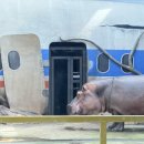 아라마루 카페 이미지