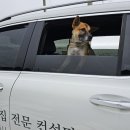 성심컨설팅공인중개사사무소 이미지