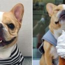 무지개병원 이미지