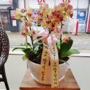일동동물병원 이미지