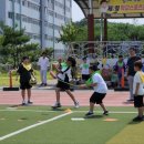 영천중앙초등학교 이미지