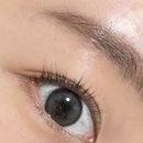 남악안경원위드렌즈