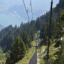 스테이다시올게 이미지