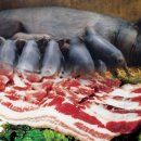 무진장축협 하나로마트 이미지