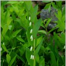 민속마을 이미지