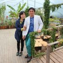 소화성가정 이미지