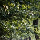 금강로하스 해피로드(1) 이미지