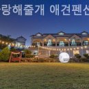 평생 사랑해 줄 개 애견펜션1 이미지