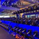 렉스피트니스