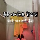 해독한의원 | 강서구 다이어트 한의원 해독 다이어트 체험기 (첫 진단 후기)