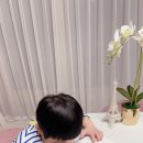 풍뎅이미술교습소