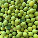 새뜸농장 이미지