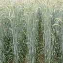 한영축산 이미지