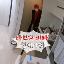 [내돈내산]우리의 특별한 브라이덜 샤워 이야기/디어달리 3호점 뮤리엘 (feat. 보헤브 BOHEV 생화 케이크)