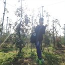 혜림농장 이미지