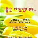 그 순간 이미지