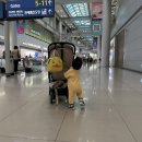 루피니스 | 15개월 아기랑 오키나와 - 아시아나 비즈니스 후기