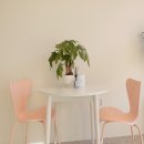 어바웃 댕댕 이미지