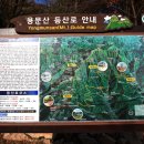 양평 산림교육센터 이미지