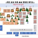 곰섬캠핑장 | 바다뷰가 잘 보이는 태안 캠핑장 곰섬킹콩솔숲캠핑장 데크4 사이트 후기