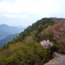 여도중학교 이미지