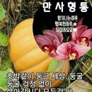 만사형통 이미지