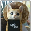 주덕마트 이미지