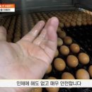 한솔마트 이미지