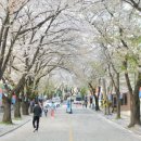 청풍보건지소 이미지