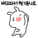 참치싸다구대구
